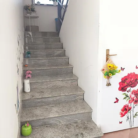 Kır Evi Shine Flowers Scordia
